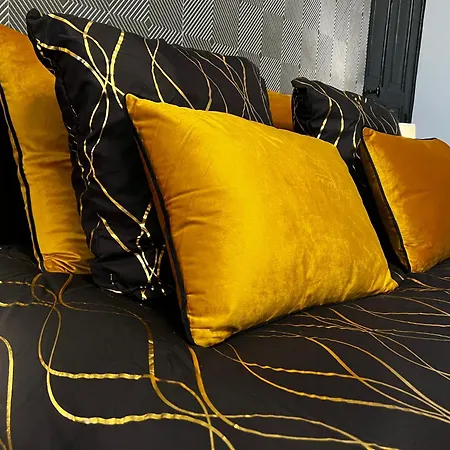 Appartement Duplex En Plein Coeur De Moulins (Allier)